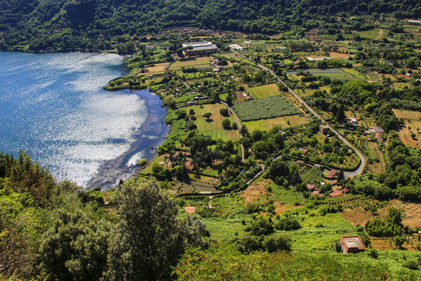 5 cose che (forse) non sai sul Castelli Romani Bianco DOC